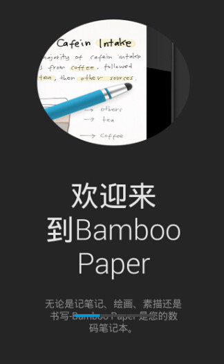bamboo paperV1.13.3 °