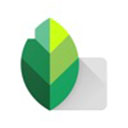 snapseed V2.19.0.201907232 Ѱ