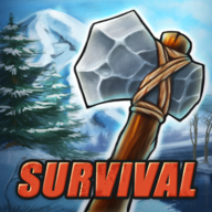 Survival Game Winter Island V1.1 ׿