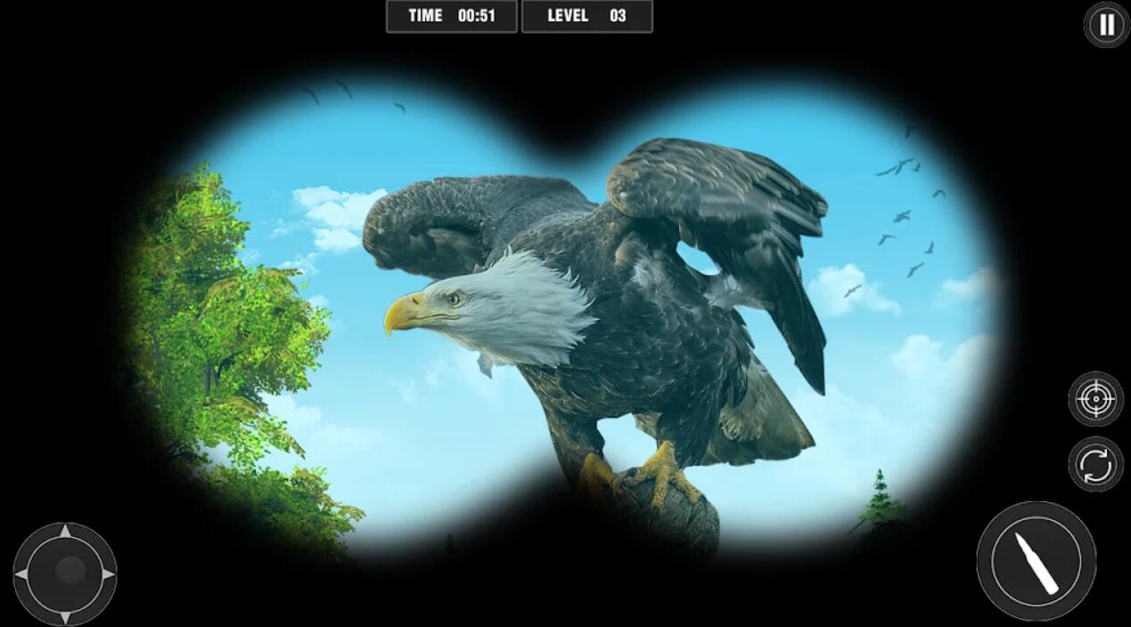 3D3D Bird hunterV1.0.3 ׿