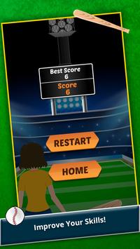 Baseball FeverV1.2 ׿