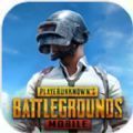 PUBGMobile(ʷ)ʽ V2.2.0 ׿