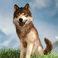 Ұģ3DWild Wolf Simulator 3D V1.3 ׿