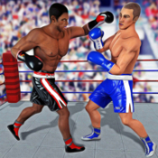 ս֮ҹȭFight Night Boxing Champion V1.1 ׿