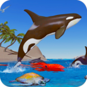 ɱֻģKiller Whale Orca Simulator V1 ׿