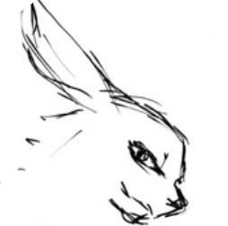 Ķȫ