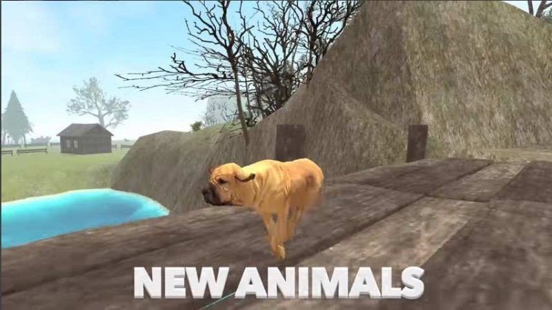 DogSimV1.0 ׿